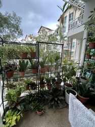 Country Park Condominium (D16), Condominium #580647851